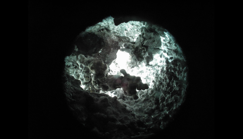 LGM.01